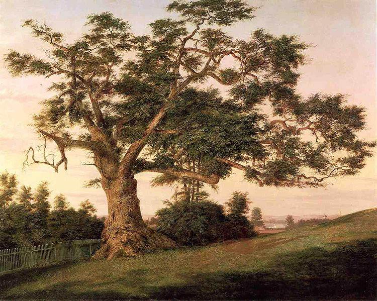  The Charter Oak